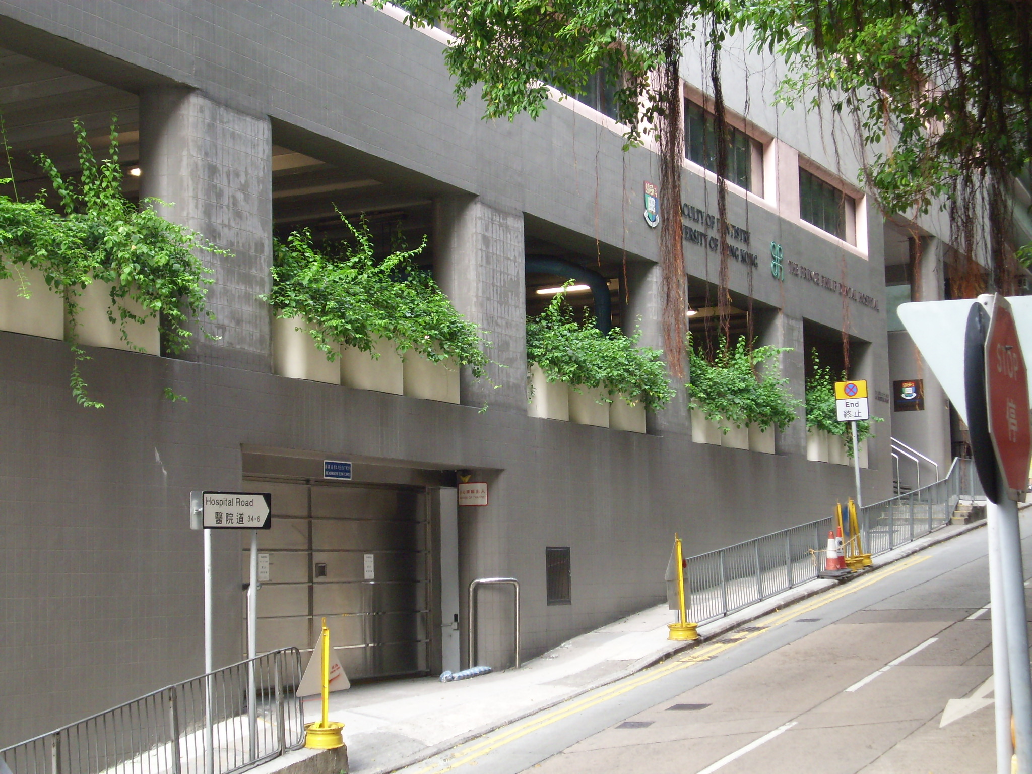 Hong Kong Dental Licensing Examination(HKDLE) Part 2 Clearance Guide